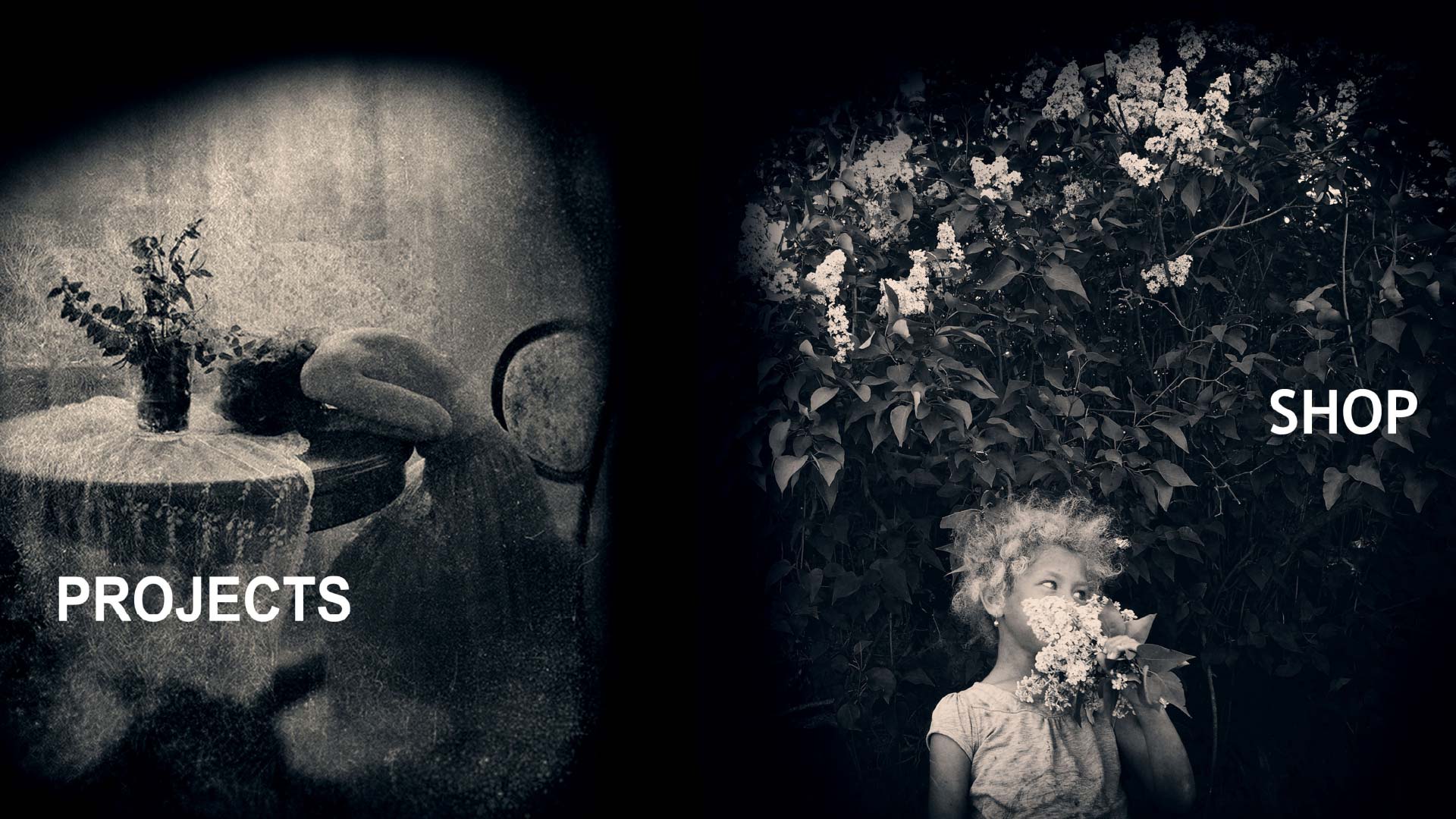 visual iris is a website created by wilbrock